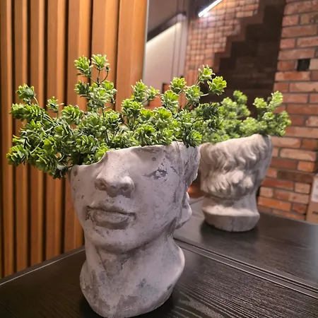 Villa Loft Haven - Loftowa Przystan